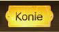 kuce konie