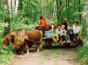 Urodziny w plenerze, kucyki, jazdy konne
